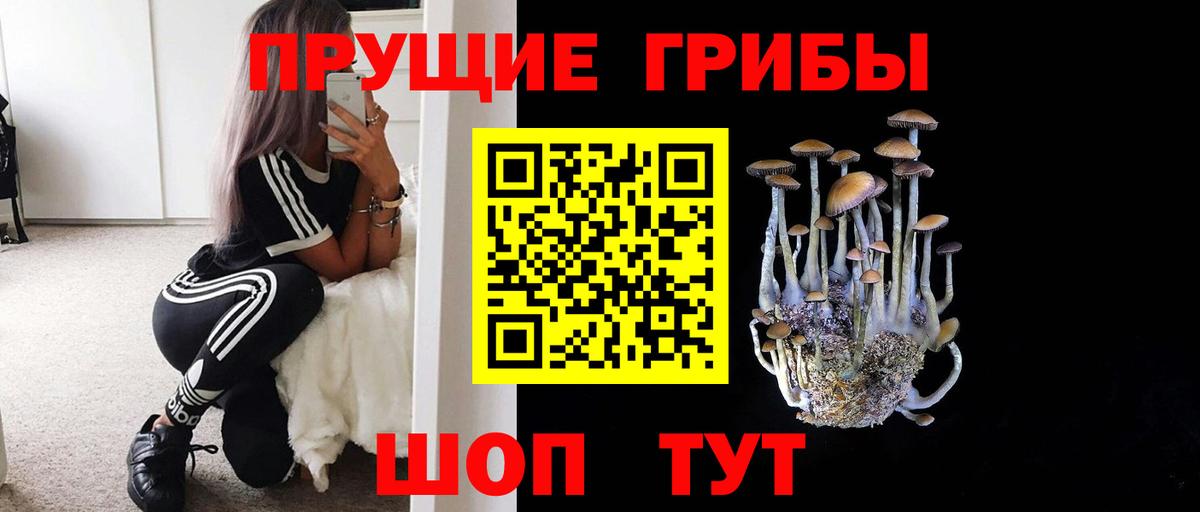 Дмитров  Псилоцибиновые грибы ЛСД  Вход с VPN  Псилоцибиновые грибы MAGIC MUSHROOMS 